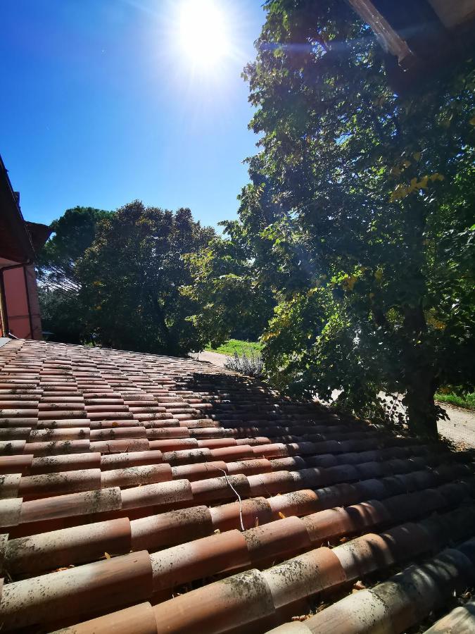 칸나라 La Casa Dei Tigli B&B 외부 사진